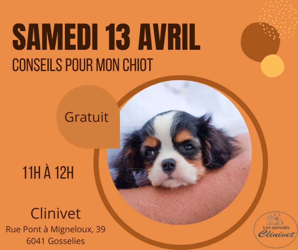 Du nouveau chez Clinivet !