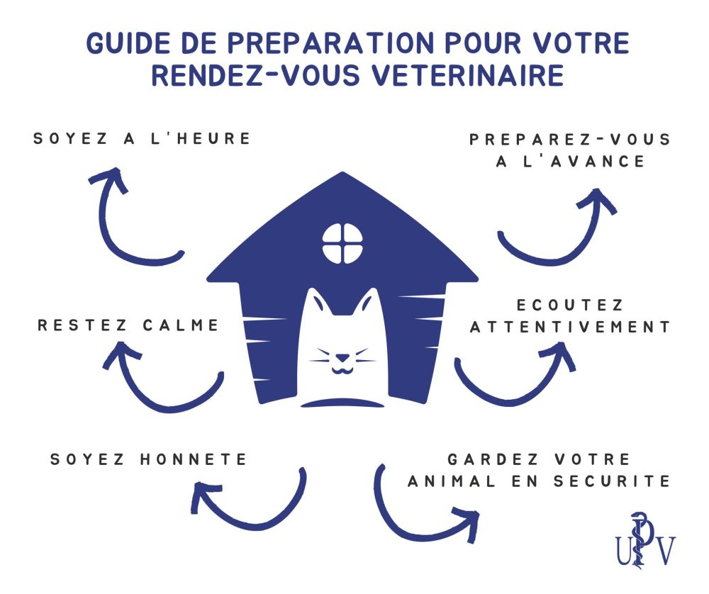 Préparation pour votre rendez-vous vétérinaire.