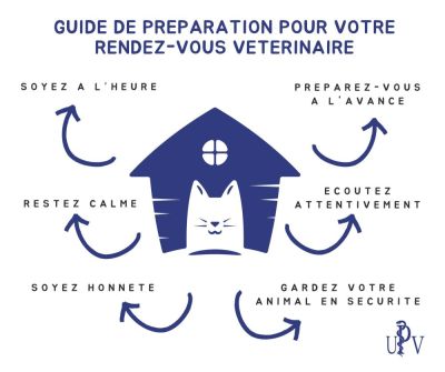 Préparation pour votre rendez-vous vétérinaire.