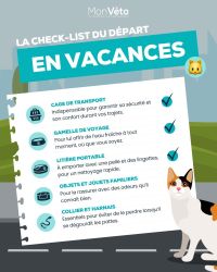 Les indispensables en vacances !