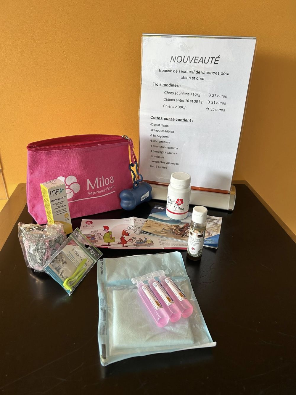 La trousse de secours/vacances