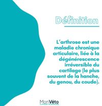 Focus sur l'arthrose !