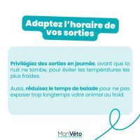 Protéger son animal du froid