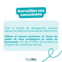 Protéger son animal du froid