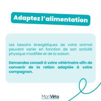 Protéger son animal du froid