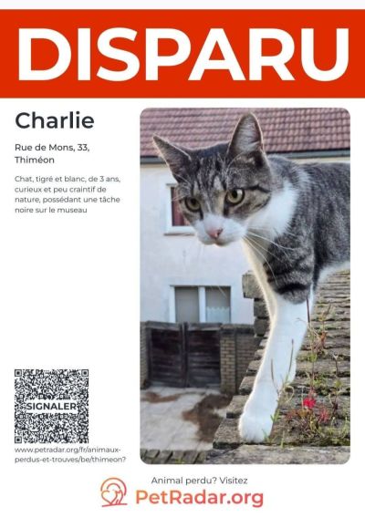 Charlie : chat disparu