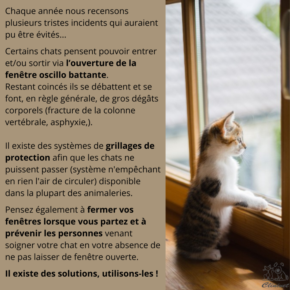 Attention à vos fenêtres !