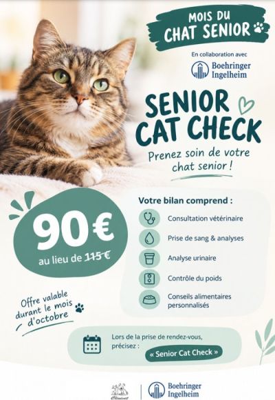 Senior Cat Check